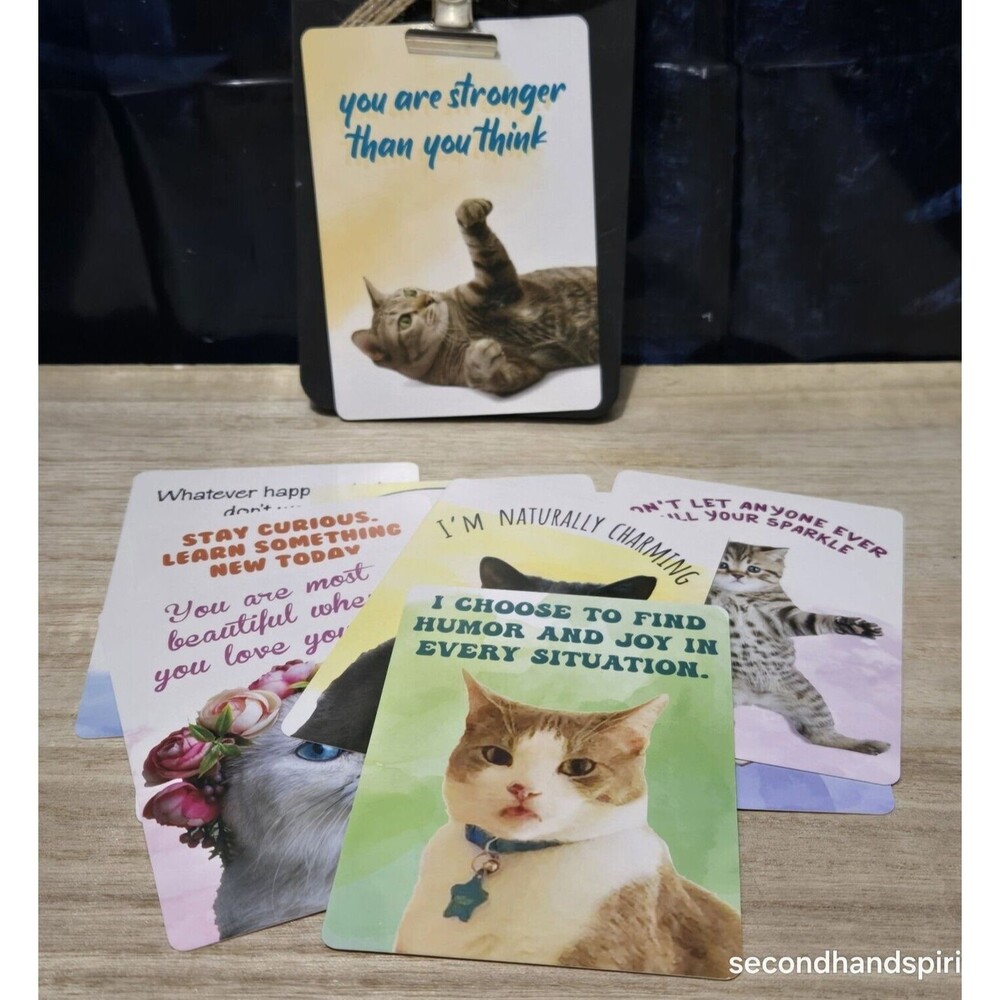 10 Hilarious Cat Motivational Cards with Clipboard Magnet Holder Set D